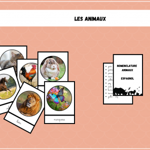 Nomenclatures animaux espagnol-lechatludique