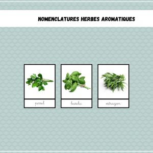 Nomenclatures herbes aromatiques 1,20€ - 3_6ans - 6_12ans (2)