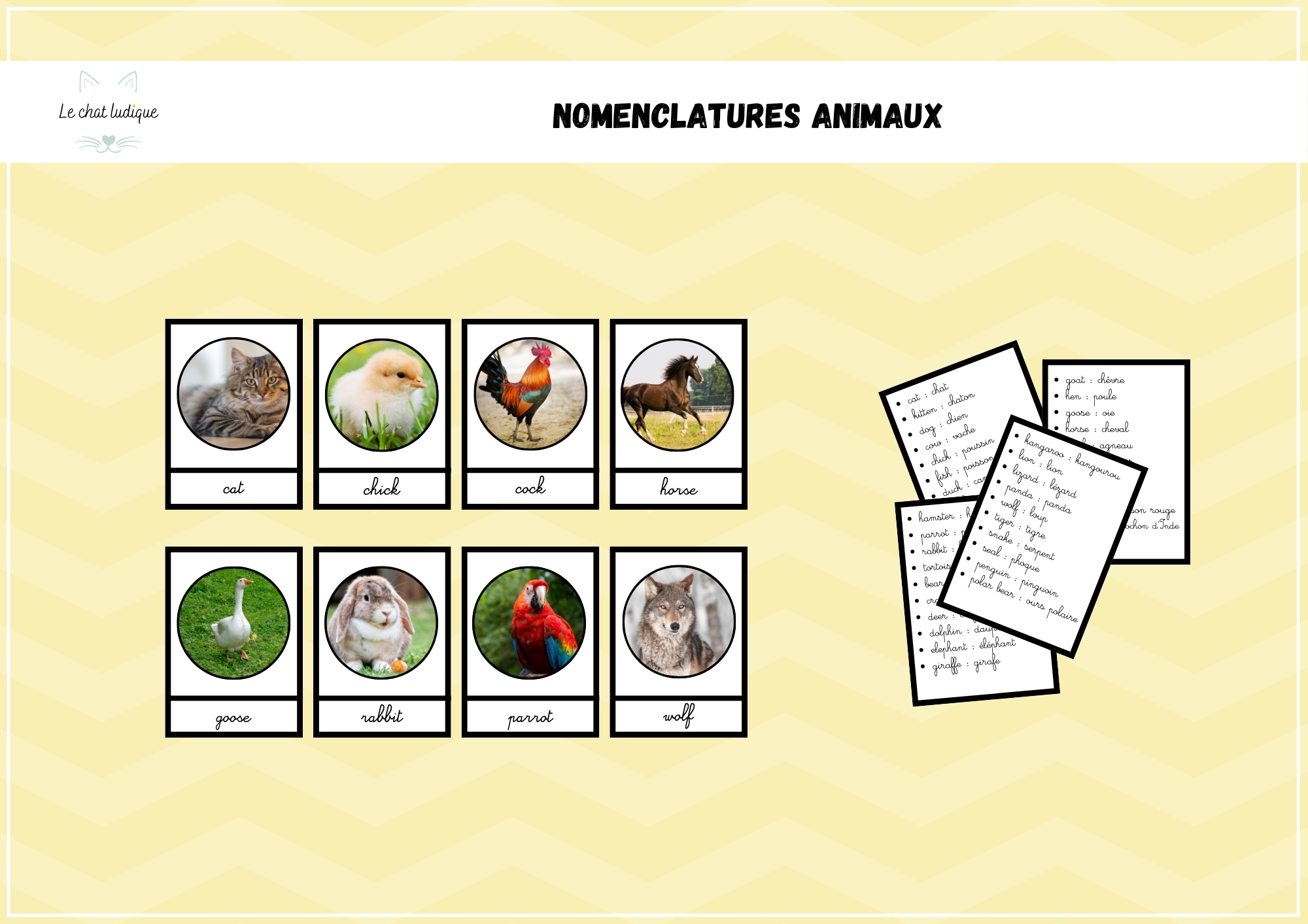 Nomenclature animaux - Anglais