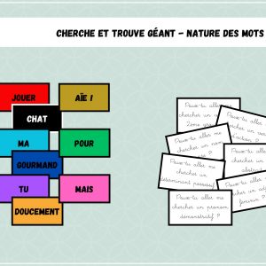 Cherche et trouve géant - Nature des mots - Français