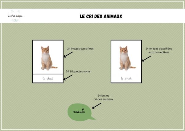 Le cri des animaux - Sciences de la vie et de la terre – Image 2