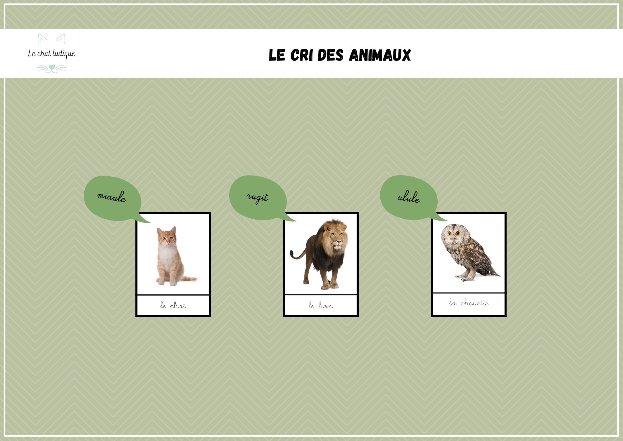 Le cri des animaux - Sciences de la vie et de la terre