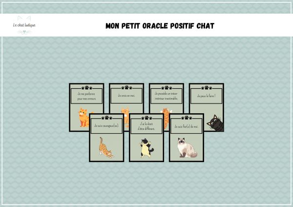 Mon petit oracle positif chat - Nomenclatures et autres