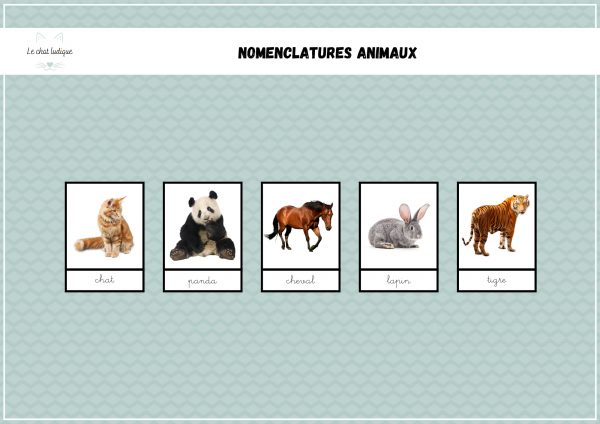 Nomenclatures animaux - Nomenclatures et autres