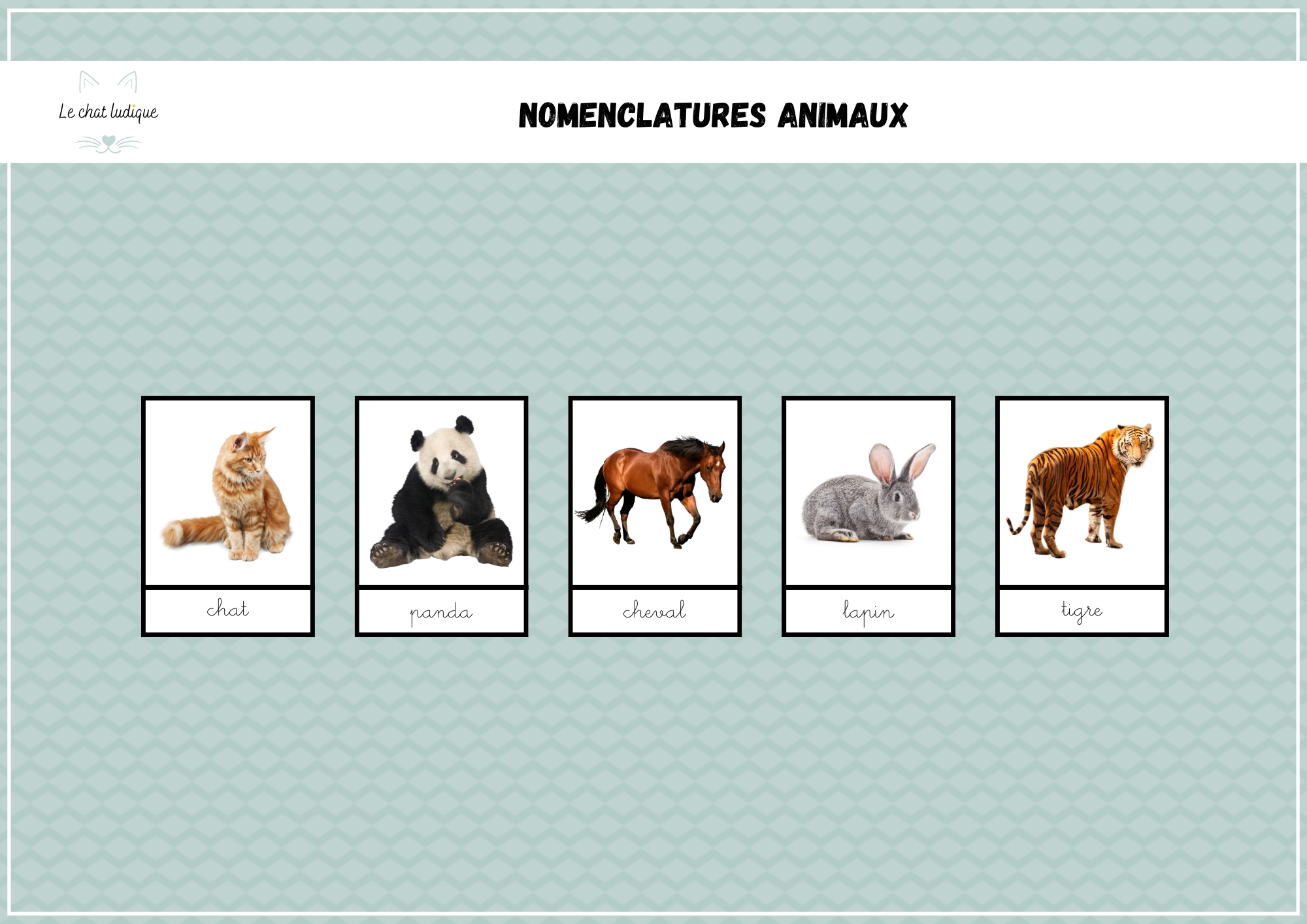Nomenclatures animaux - Nomenclatures et autres