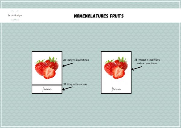Nomenclatures fruits - Nomenclatures et autres – Image 2