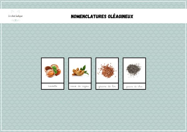 Nomenclatures fruits et graines oléagineux - Nomenclatures et autres