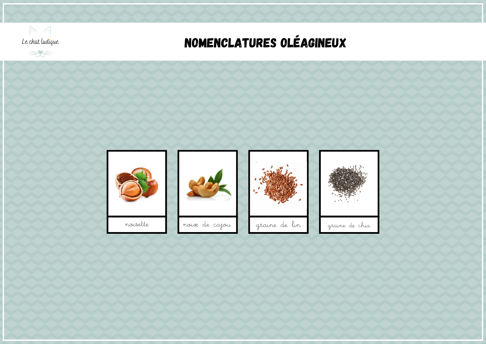 Nomenclatures fruits et graines oléagineux - Nomenclatures et autres