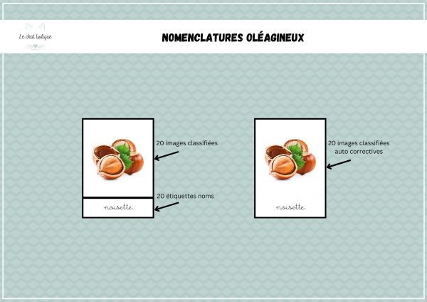 Nomenclatures fruits et graines oléagineux - Nomenclatures et autres – Image 2