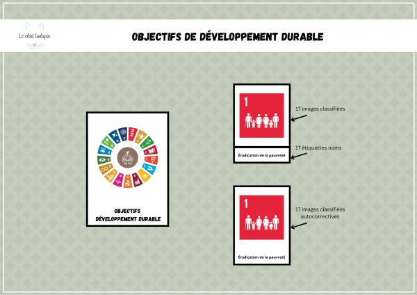 Nomenclatures objectifs de développement durable - Géographie – Image 2