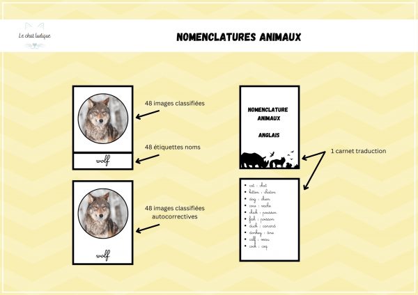 Nomenclature animaux - Anglais – Image 2