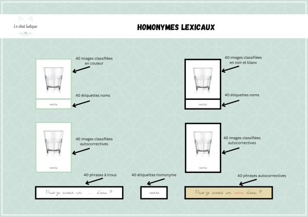 Nomenclatures homonymes lexicaux - Français – Image 2
