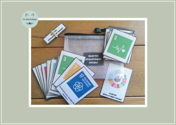 Nomenclatures objectifs de développement durable - Géographie – Image 3