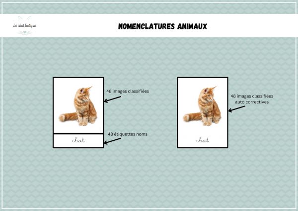 Nomenclatures animaux - Nomenclatures et autres – Image 2