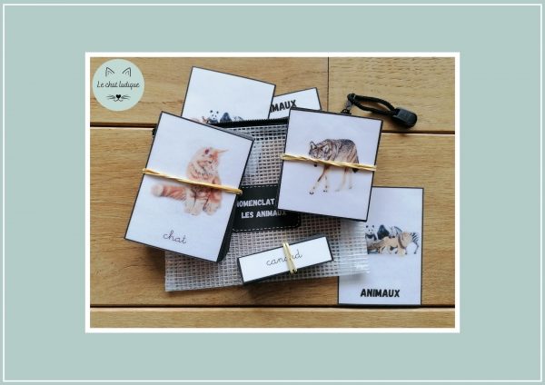 Nomenclatures animaux - Nomenclatures et autres – Image 3