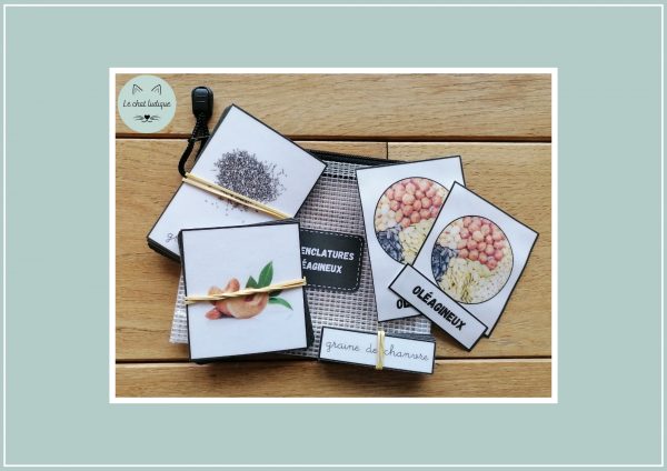 Nomenclatures fruits et graines oléagineux - Nomenclatures et autres – Image 3