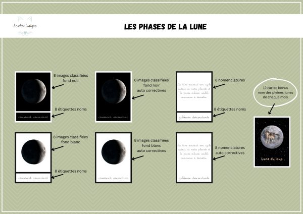 Nomenclatures les phases de la lune - Sciences de la vie et de la terre – Image 2