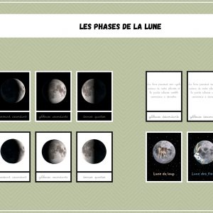 Nomenclatures les phases de la lune - Sciences de la vie et de la terre