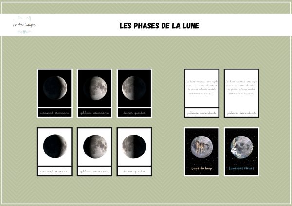 Nomenclatures les phases de la lune - Sciences de la vie et de la terre